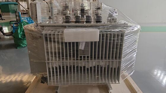 800 kVA 오일 잠수 전력 트랜스포머 ONAN 냉각 및 산업 분배 IEC60076 표준